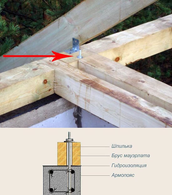для чего нужен мауэрлат