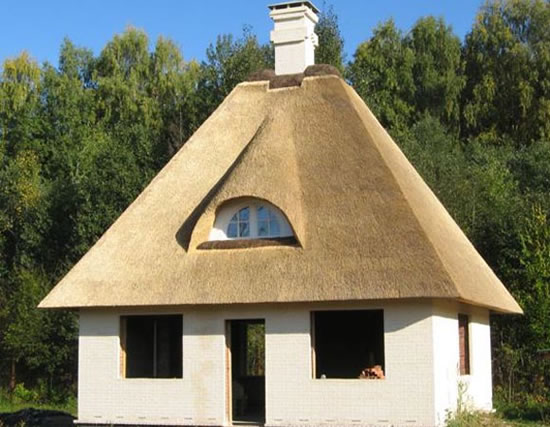 кровля из тростника